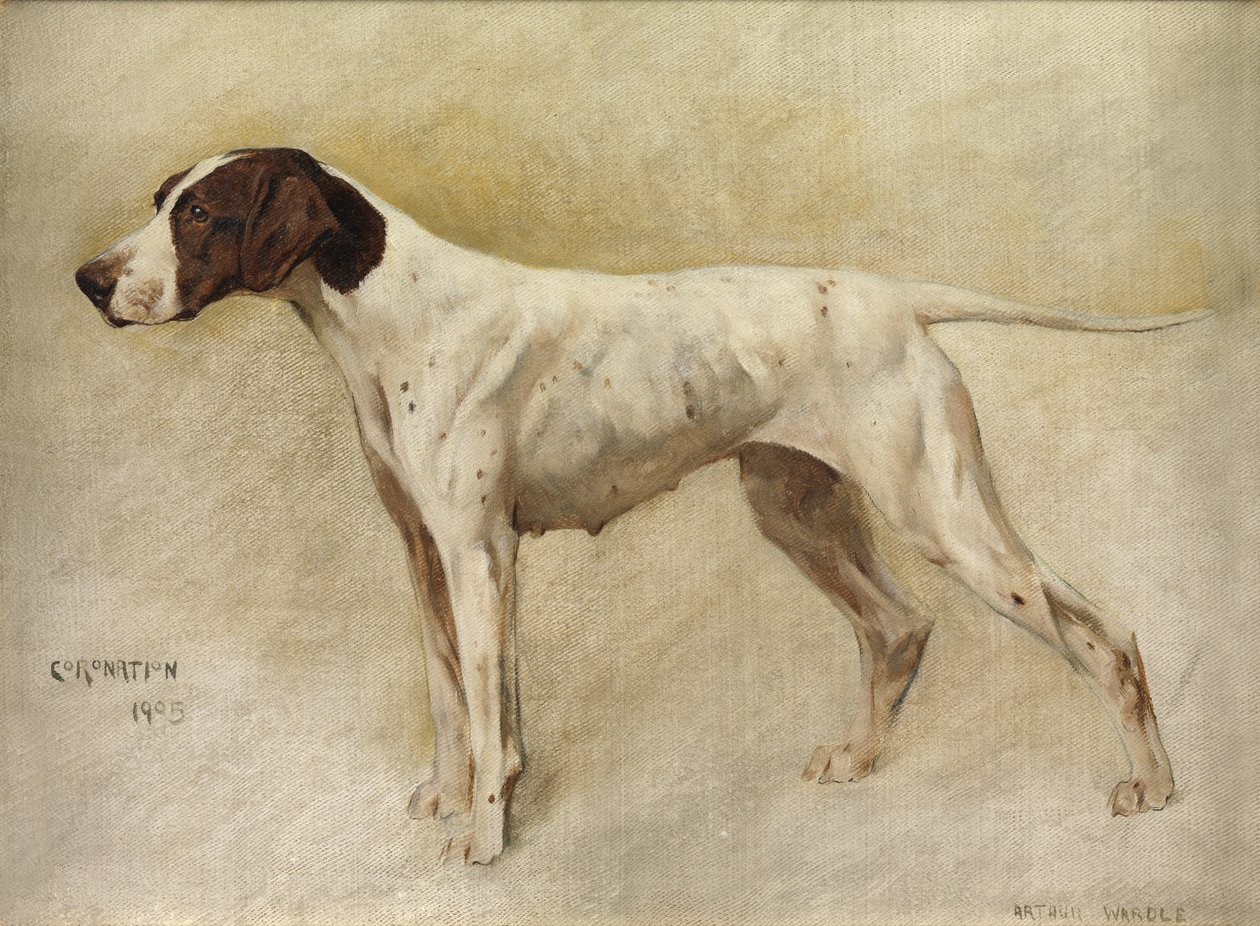 Coroação de Arthur Wardle