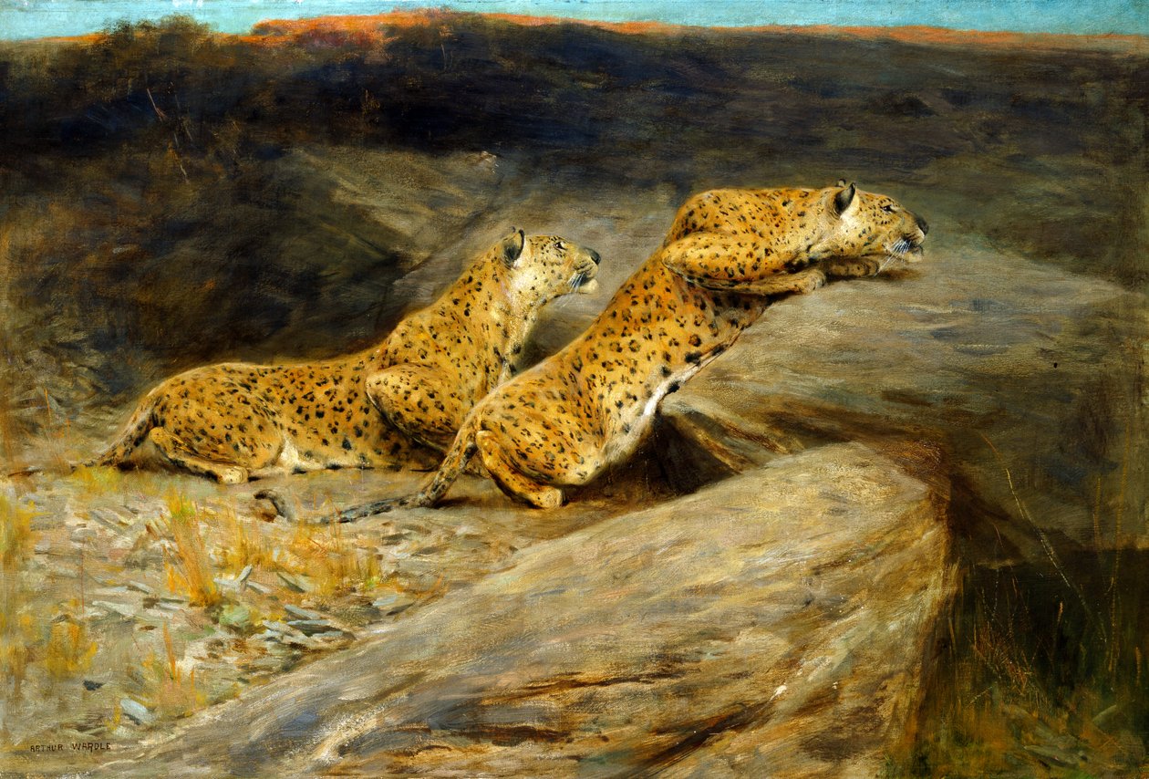 Perseguidores de veados (óleo sobre tela) de Arthur Wardle