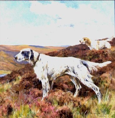 Setters ingleses (óleo a bordo) de Arthur Wardle