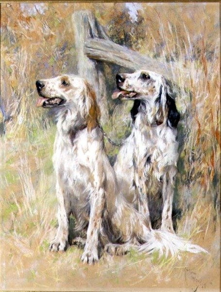 Setters ingleses por um estilo de Arthur Wardle