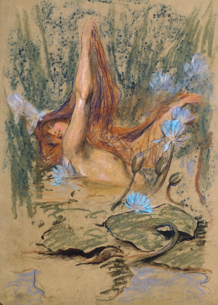 Nymphea, c.1890 (pastel, lápis e aquarela sobre papel) de Arthur Wardle