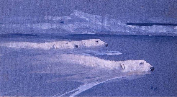 Ursos polares nadando (aquarela) de Arthur Wardle