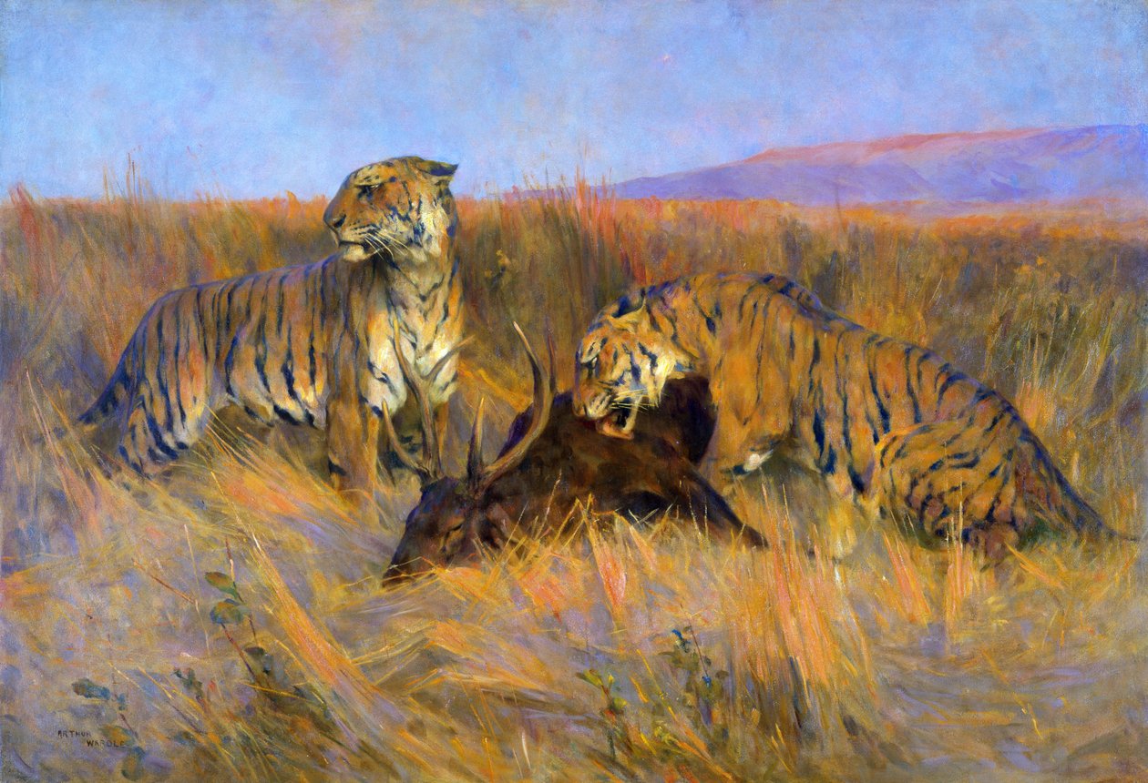 Tigres a Matar (óleo sobre tela) de Arthur Wardle