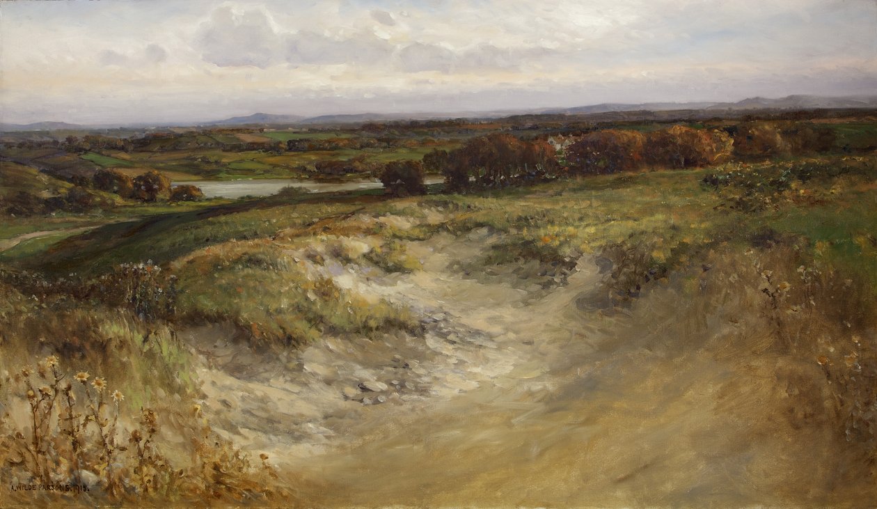 Paisagem; anteriormente usado como pano de fundo em uma vitrine de história natural de Arthur Wilde Parsons