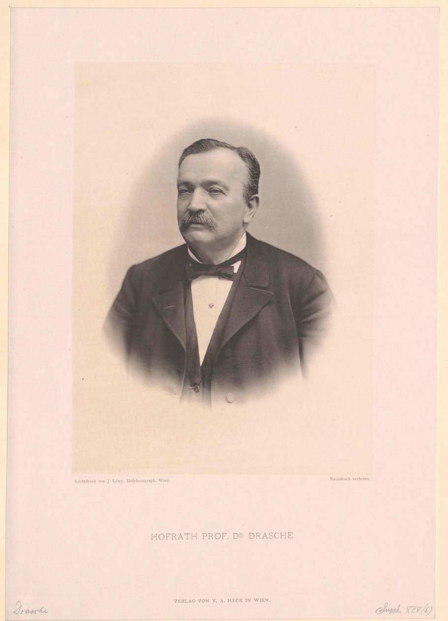 Anton Ritter Drasche de Artist Unknown