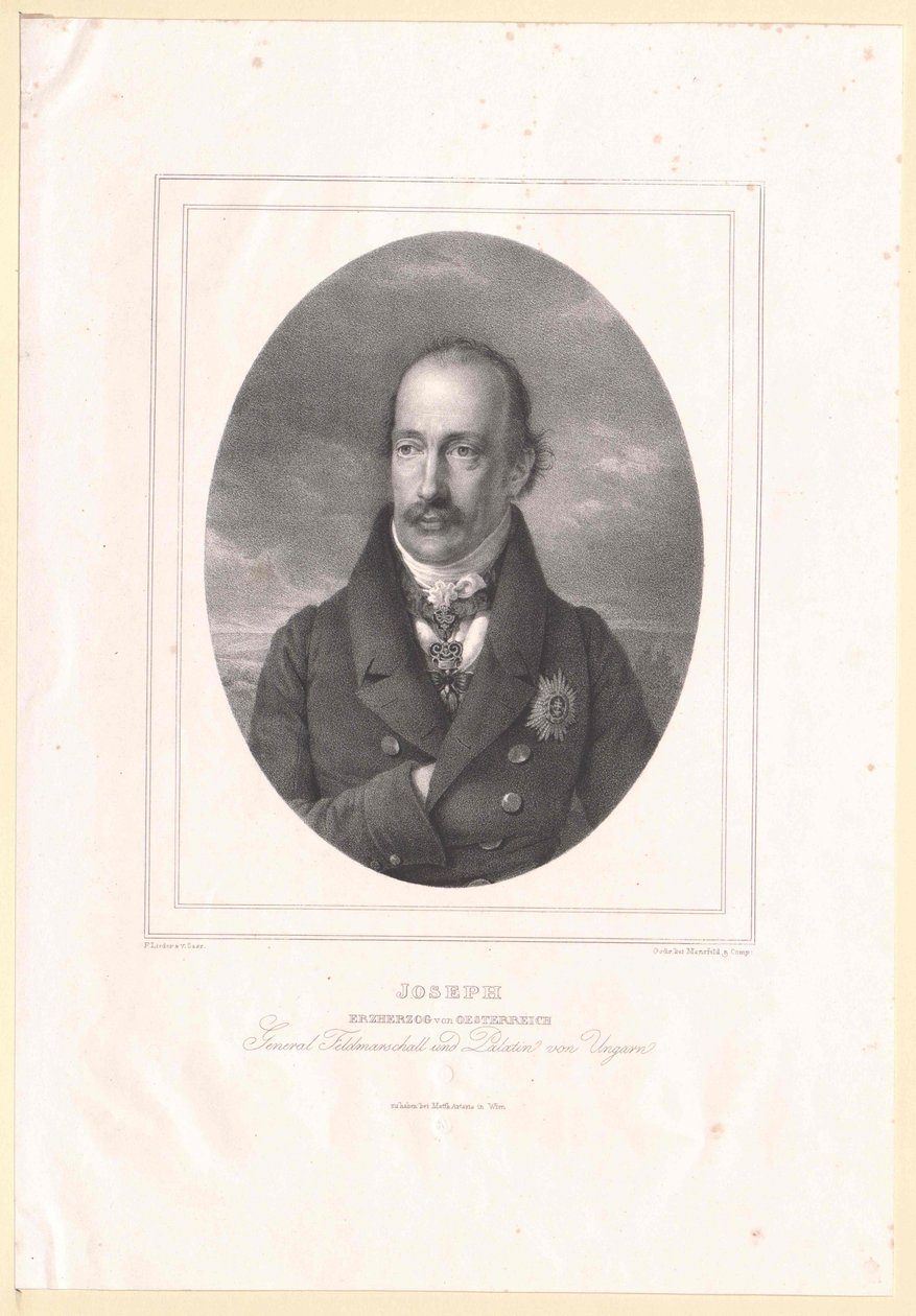 Arquiduque da Áustria José de Artist Unknown