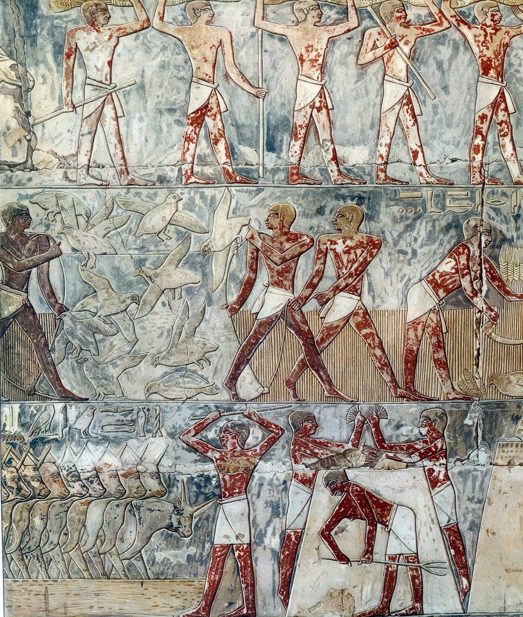 Arte Egípcia: cena agrícola, 6ª dinastia de Artist Unknown