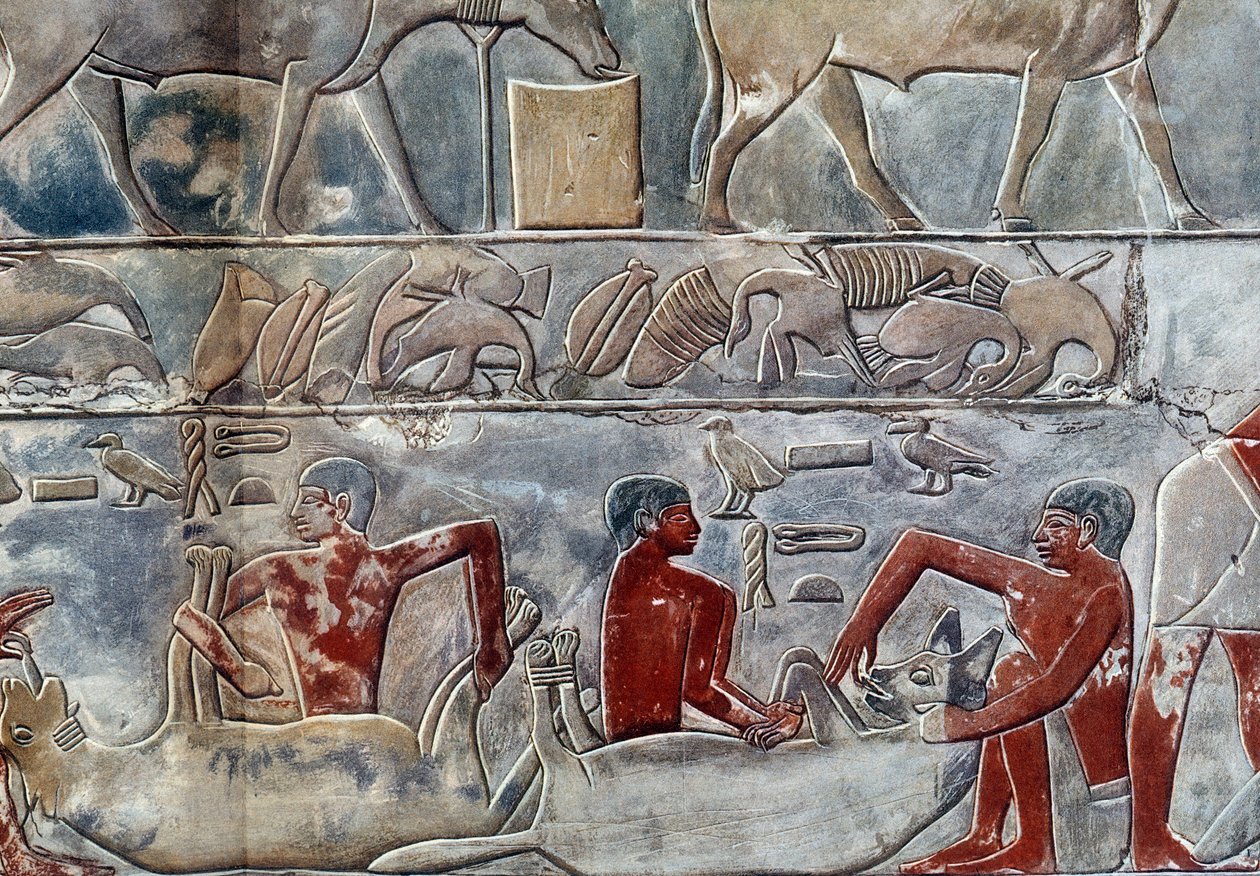 Arte Egípcia: gavagem de um hino. A faculdade é semelhante à Mastaba de Mereruka. de Artist Unknown