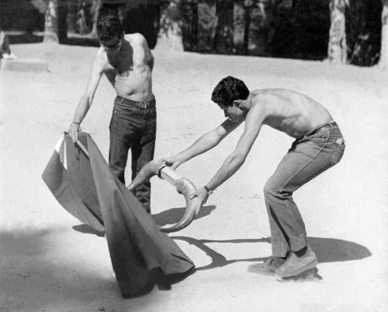Toureiros aprendizes que treinam todas as manhãs na Casa de Campo de Madrid para aprender a arte de tourear (foto) de Artist Unknown