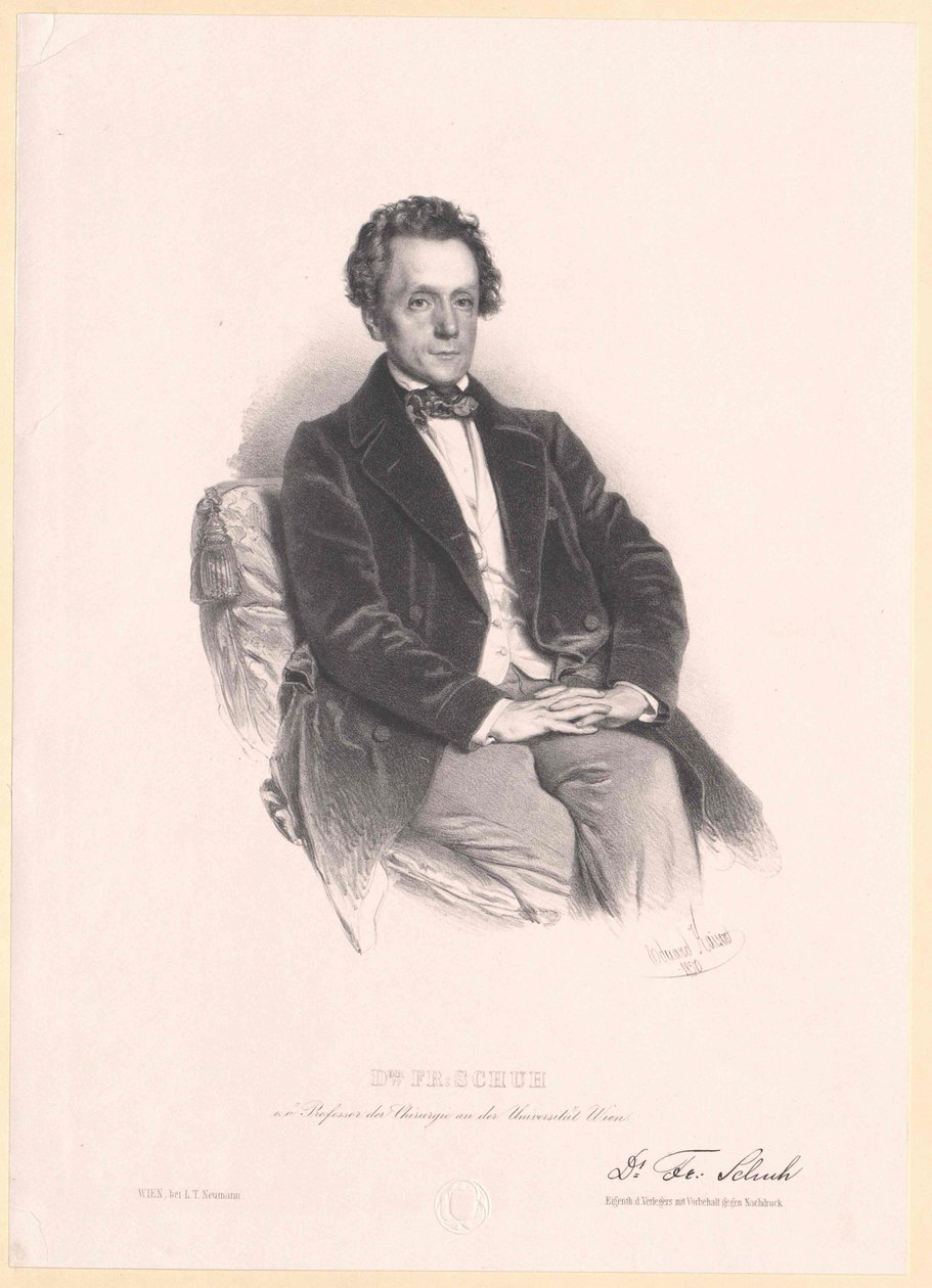 Sapato Franz de Artist Unknown