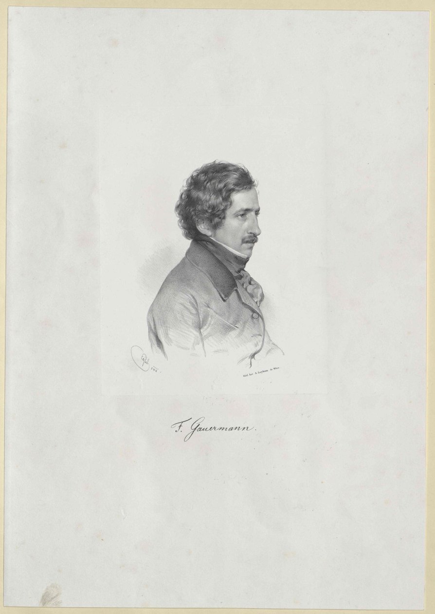 Friedrich Gauermann de Artist Unknown