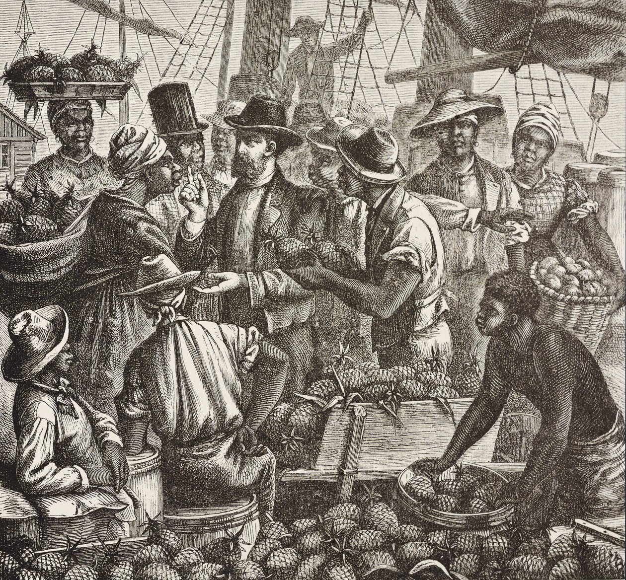 História da Inglaterra (séc. XIX). Colonização (1880). Bahama a vender ananases. Colónia inglesa na ilha de New Providence. O ananás era um dos produtos de exportação do porto de Nassau, o mais importante. Gravura. Coleção particular de Artist Unknown