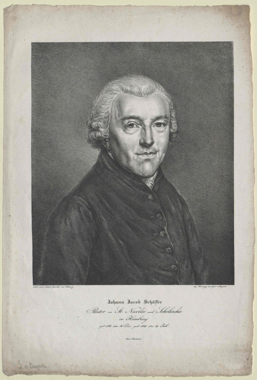 Johann Jakob Schaeffer de Artist Unknown
