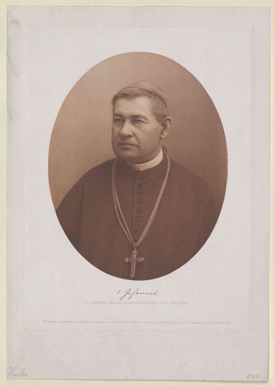 Johannes Haller (impressão) de Artist Unknown