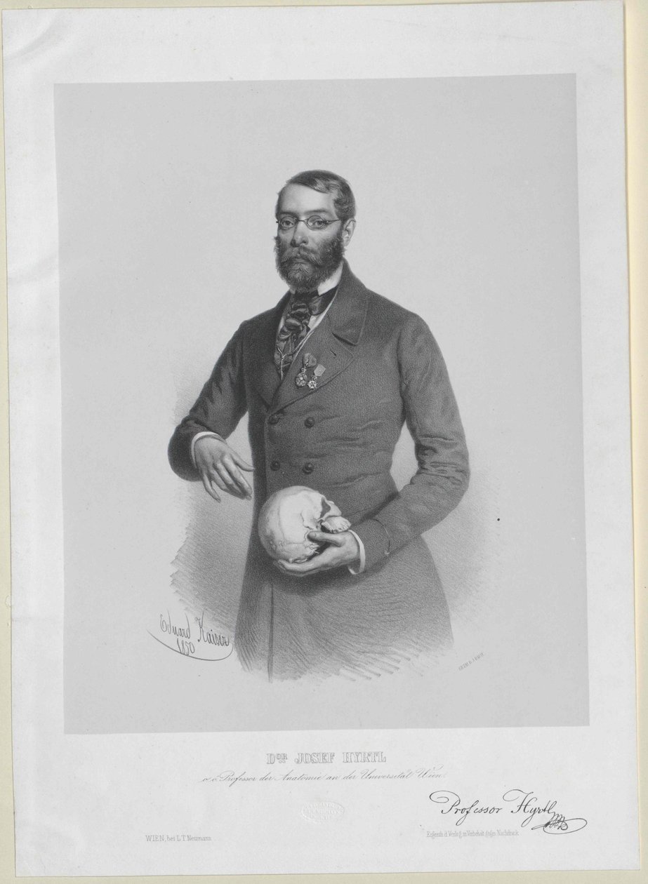 Joseph Hyrtl de Artist Unknown