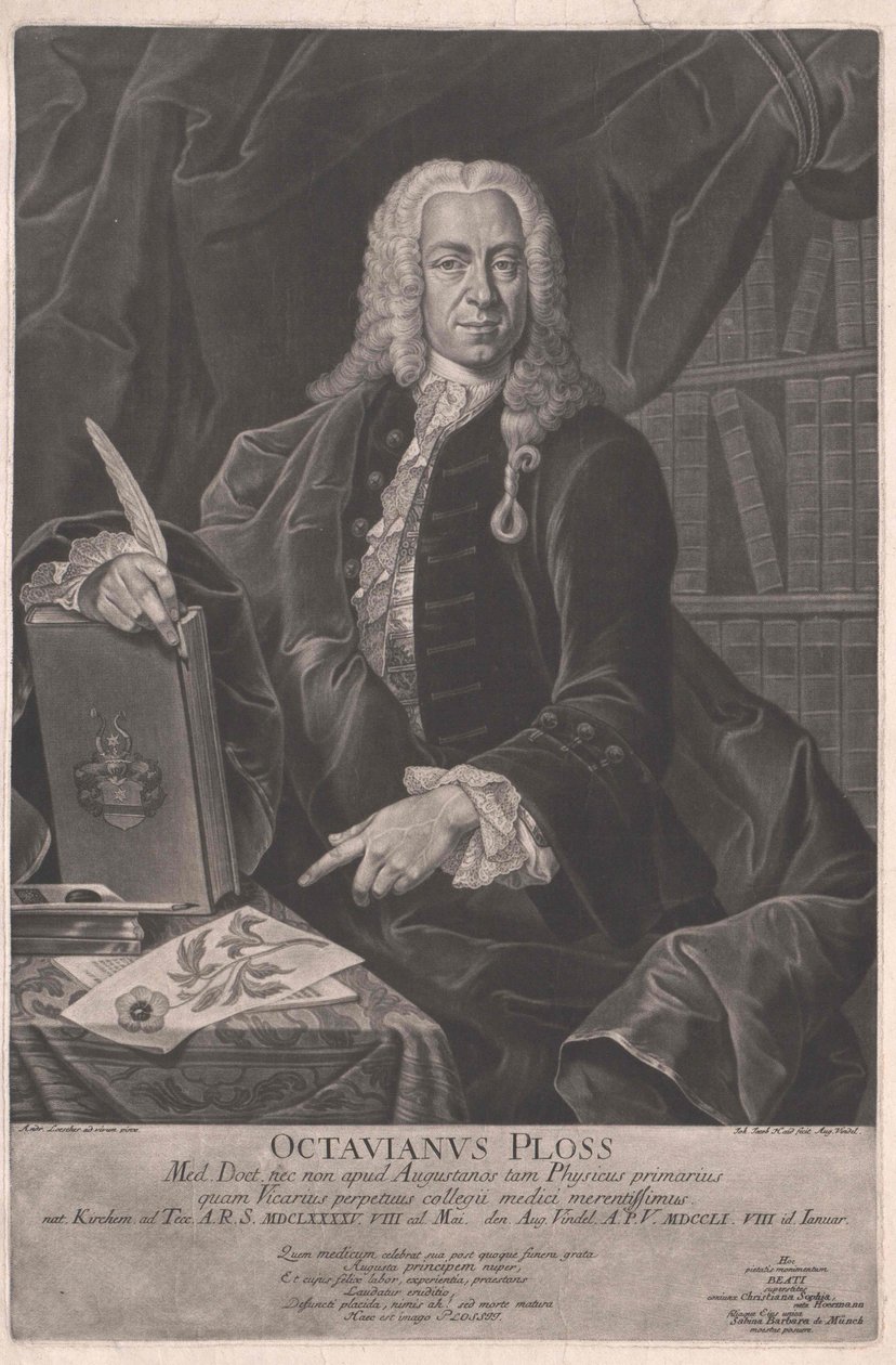 Octávio Ploss de Artist Unknown