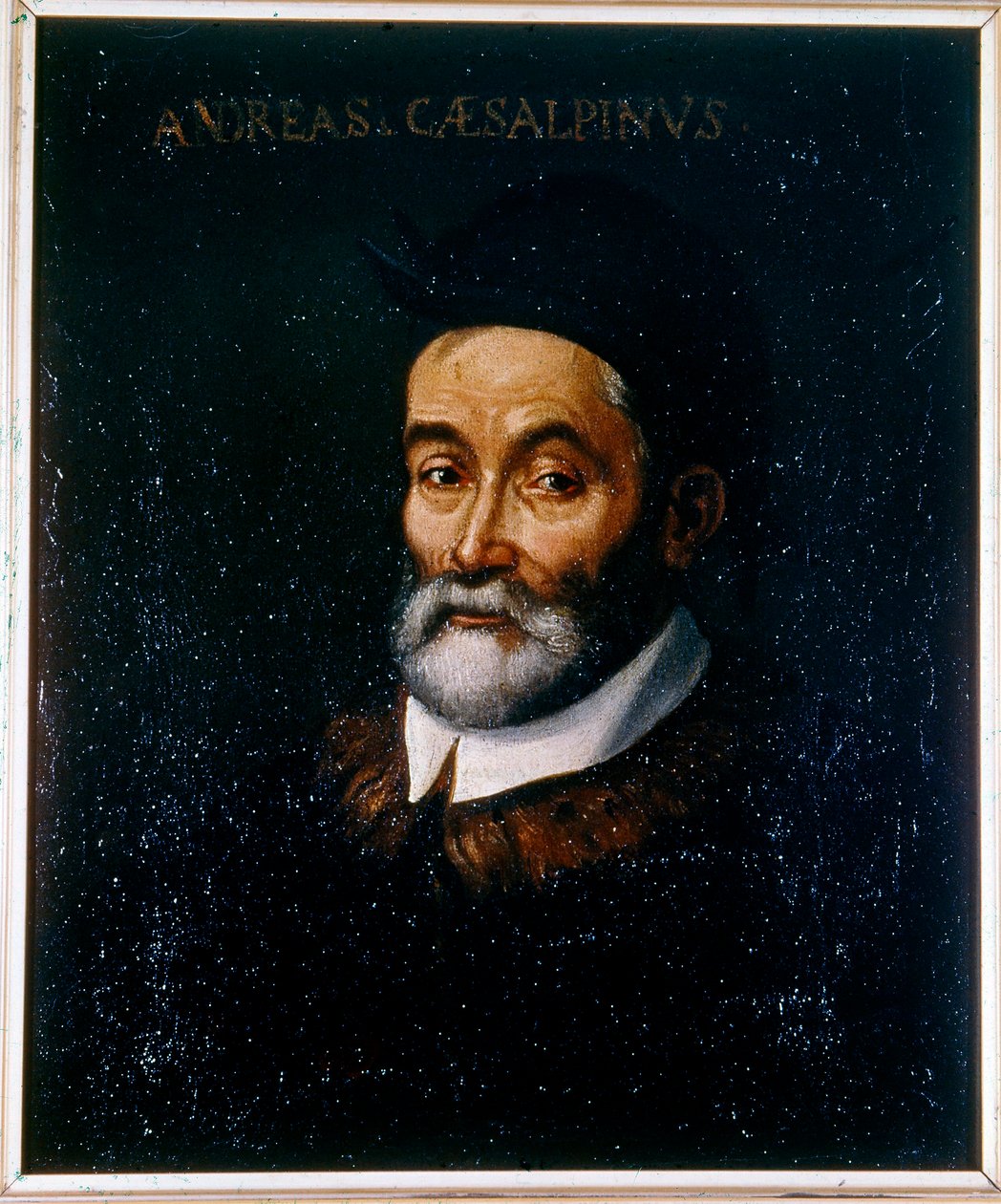 Retrato de Andrea CESALPINO de Artist Unknown
