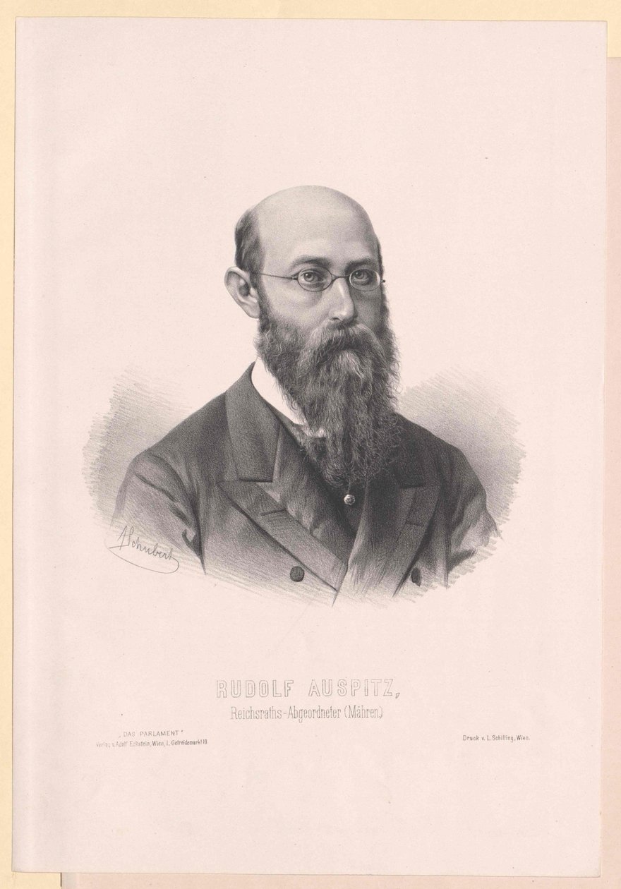 Rudolf Auspitz (impressão) de Artist Unknown