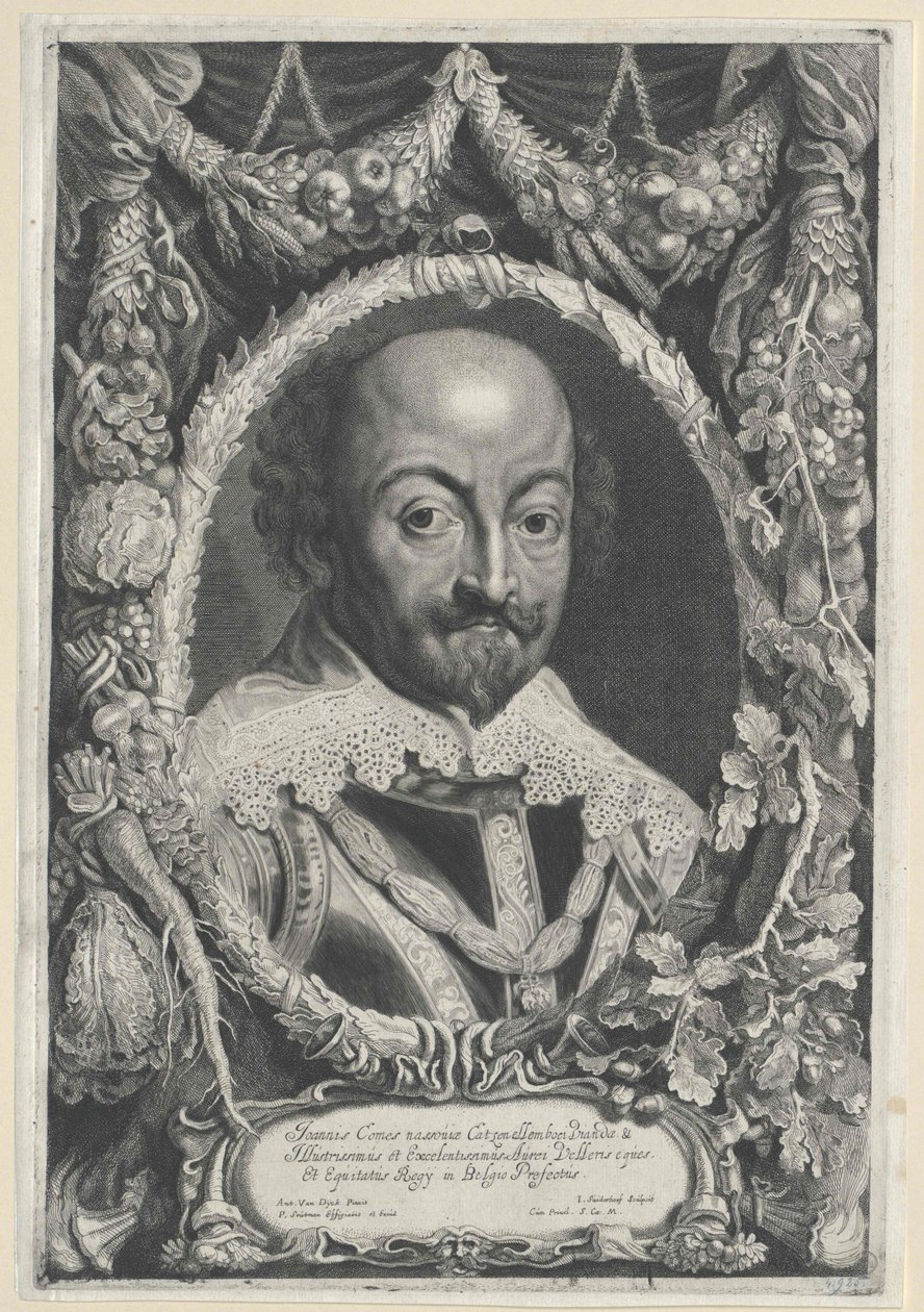 O Jovem Johann VIII (impressão) de Artist Unknown