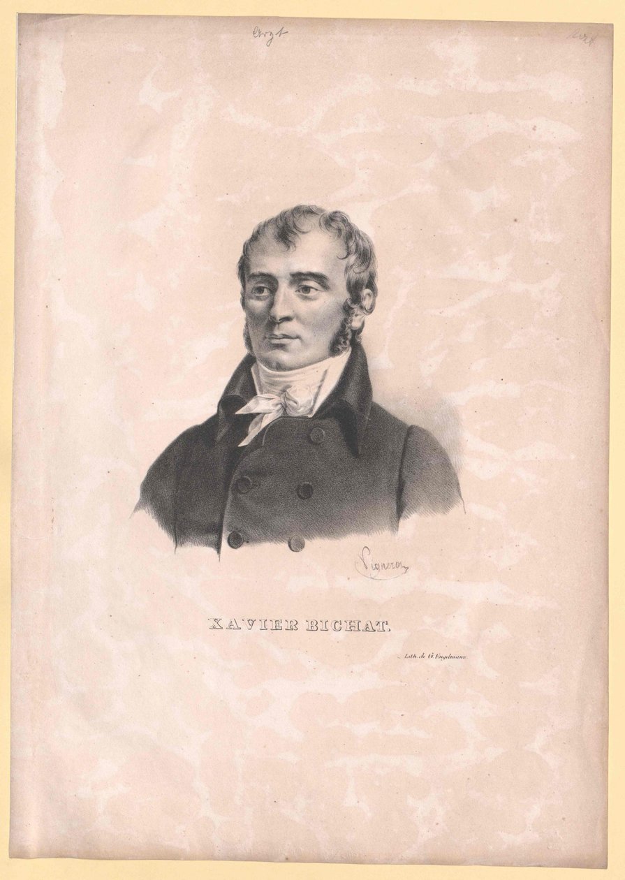 Xavier Bichat de Artist Unknown