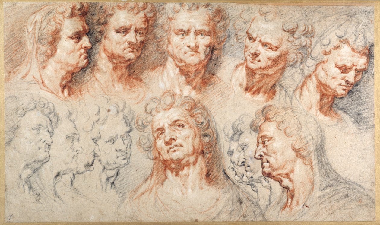 Head Studies (gizes coloridos sobre papel) de Artus I (attr. to) Quellinus