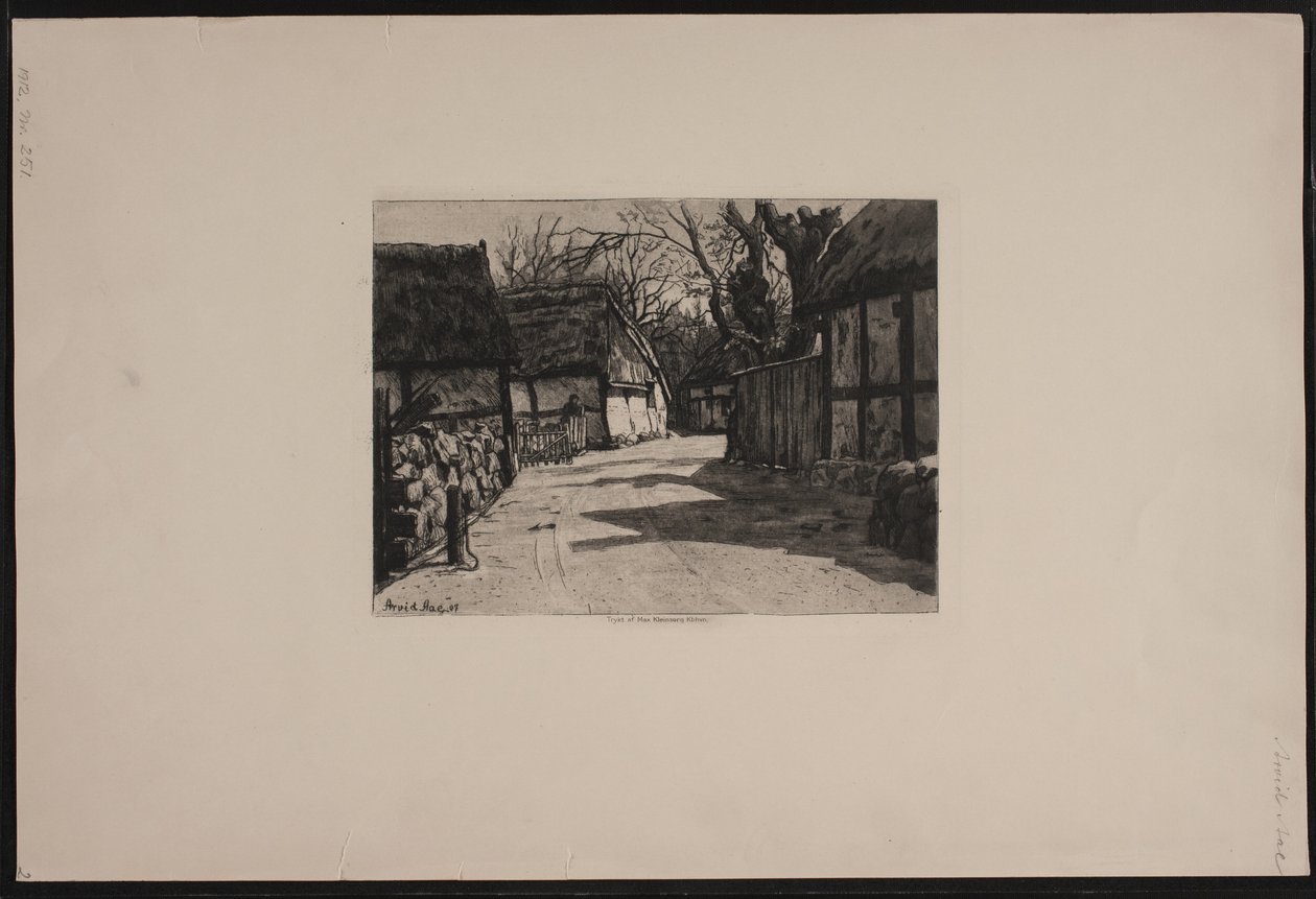 Uma rua da aldeia de Arvid Aae