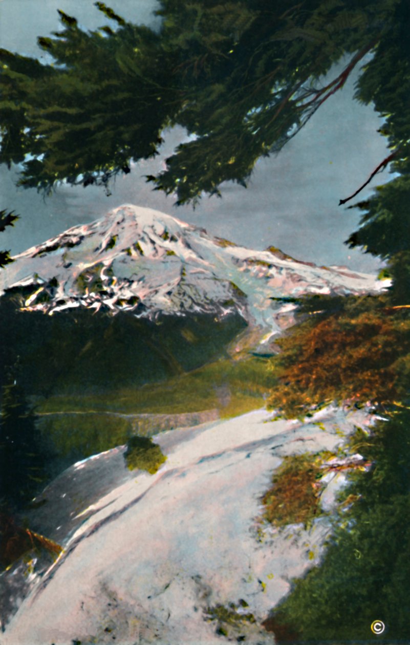 Monte Tacoma de Eagle Peak, Washington, c1916 de Asahel Curtis