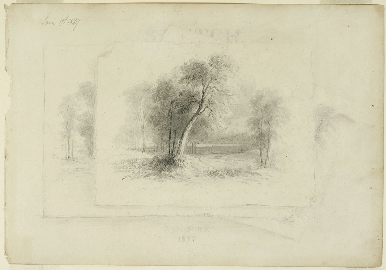 Frontispício com Trompe l&39;Oeil Pilha de três desenhos de árvores; do desmontado Schroon Lake Sketchbook, 1837 (grafite sobre papel) de Asher Brown Durand