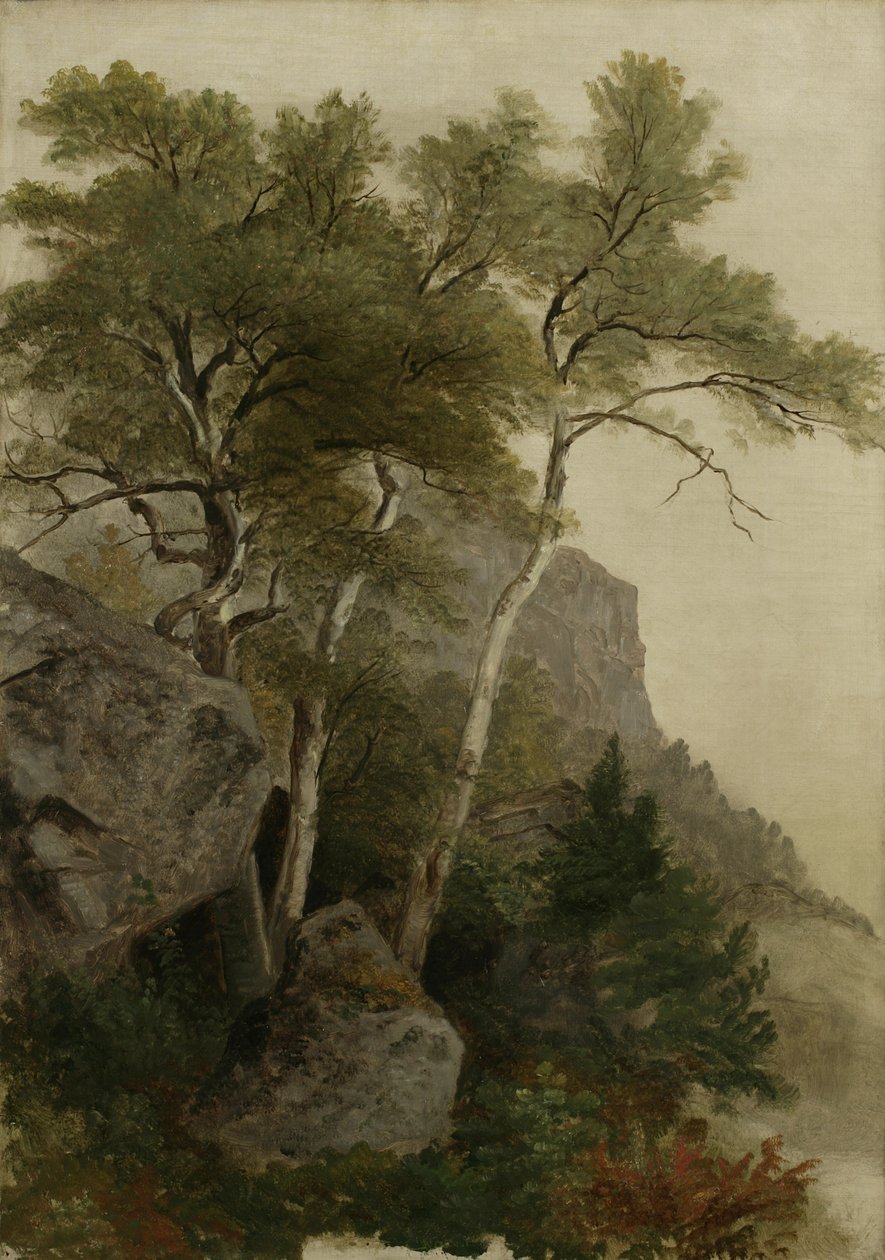 Paisagem, 1855 de Asher Brown Durand