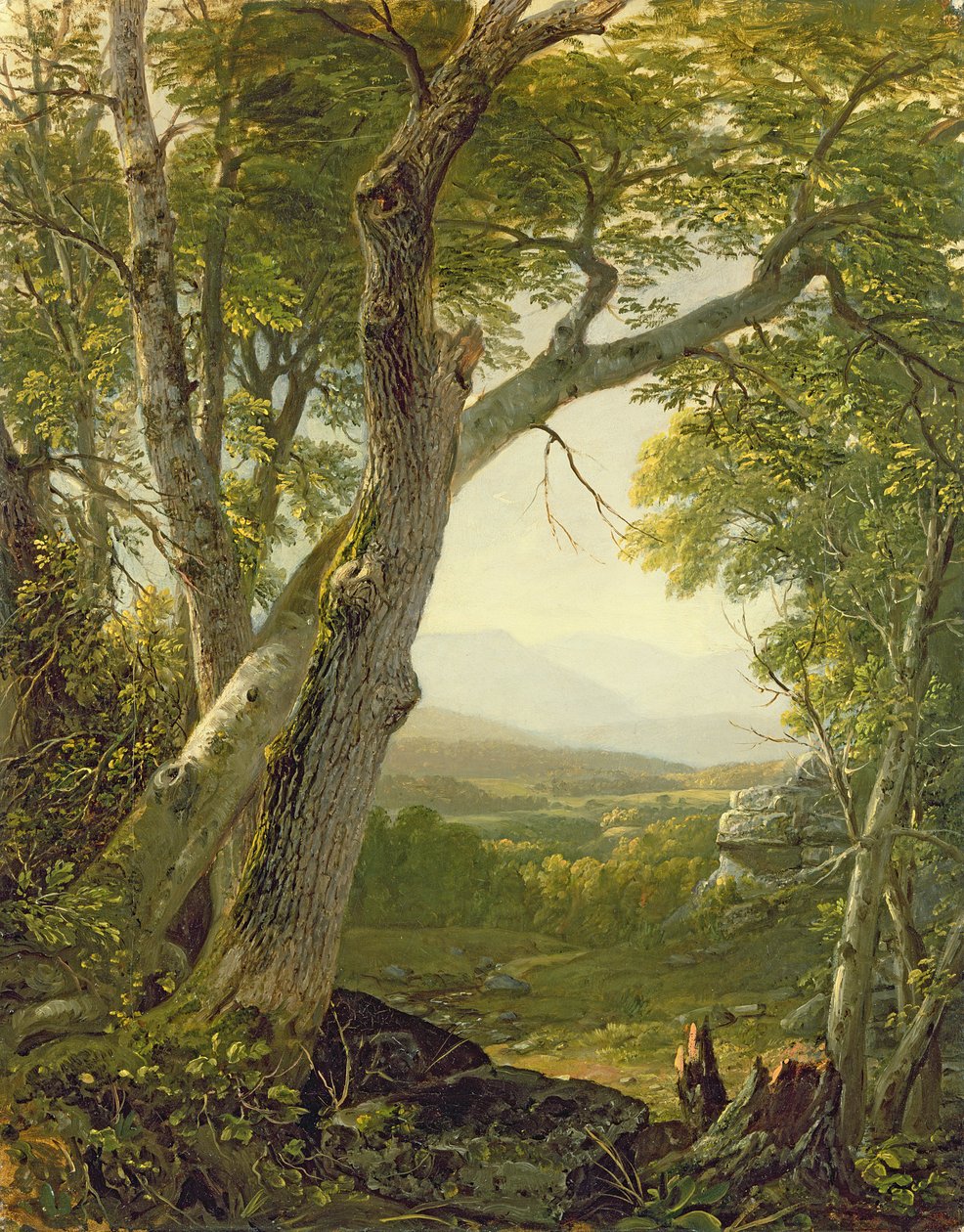 Shandaken Ridge, Kingston, Nova Iorque, c.1854 de Asher Brown Durand