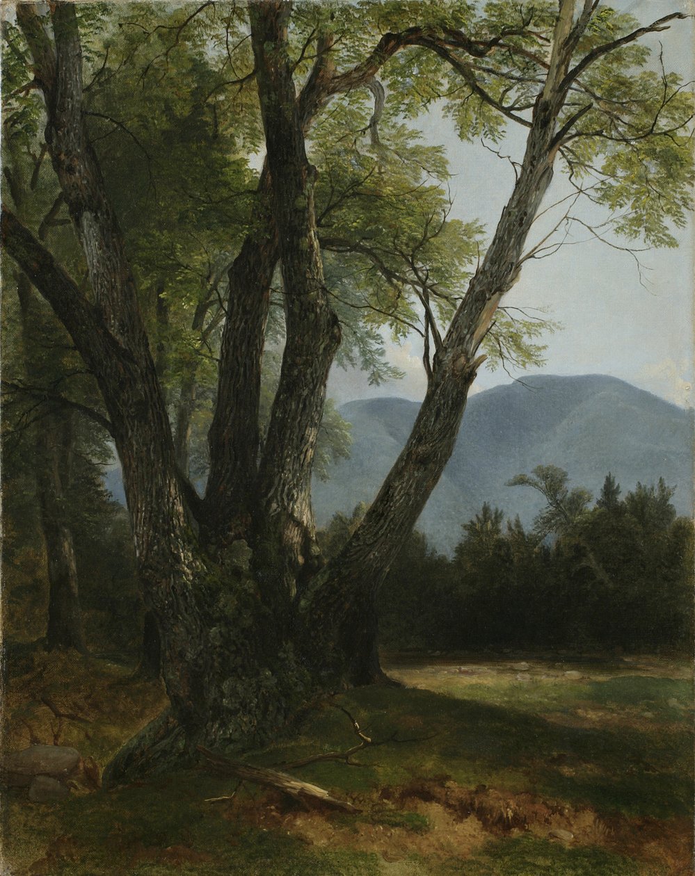 Shandaken, Condado de Ulster, Nova York, 1854 de Asher Brown Durand