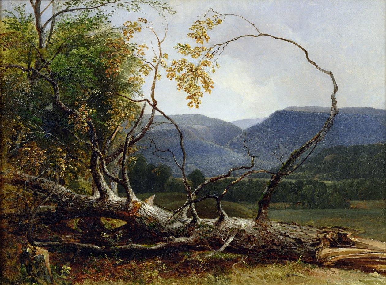 Estudo da natureza, Stratton Notch, Vermont, 1853 de Asher Brown Durand