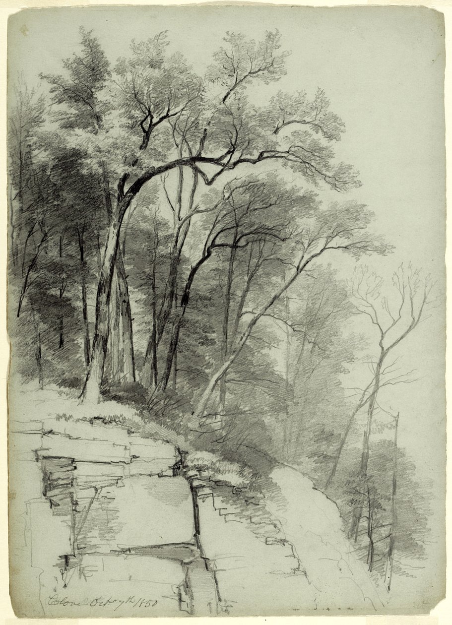 Estudo de Árvores e Rochas, Catskill Clove, Nova York, 1850 (grafite em papel cinza-verde) de Asher Brown Durand