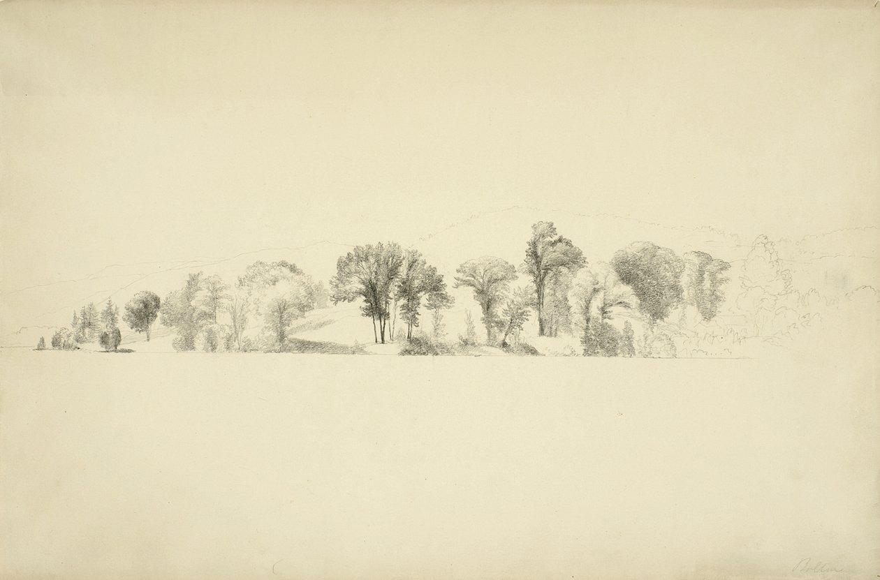 Árvores na margem do Lago George, Bolton, Nova York, 1863 (grafite sobre papel) de Asher Brown Durand