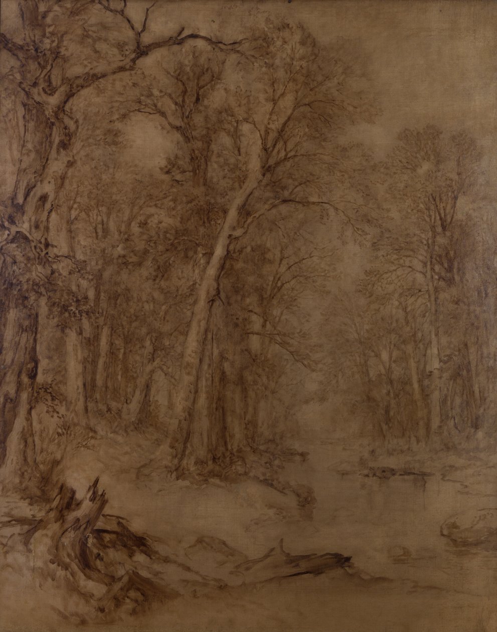 Woodland Brook, estudo preliminar, 1859 (sépia óleo sobre tela) de Asher Brown Durand