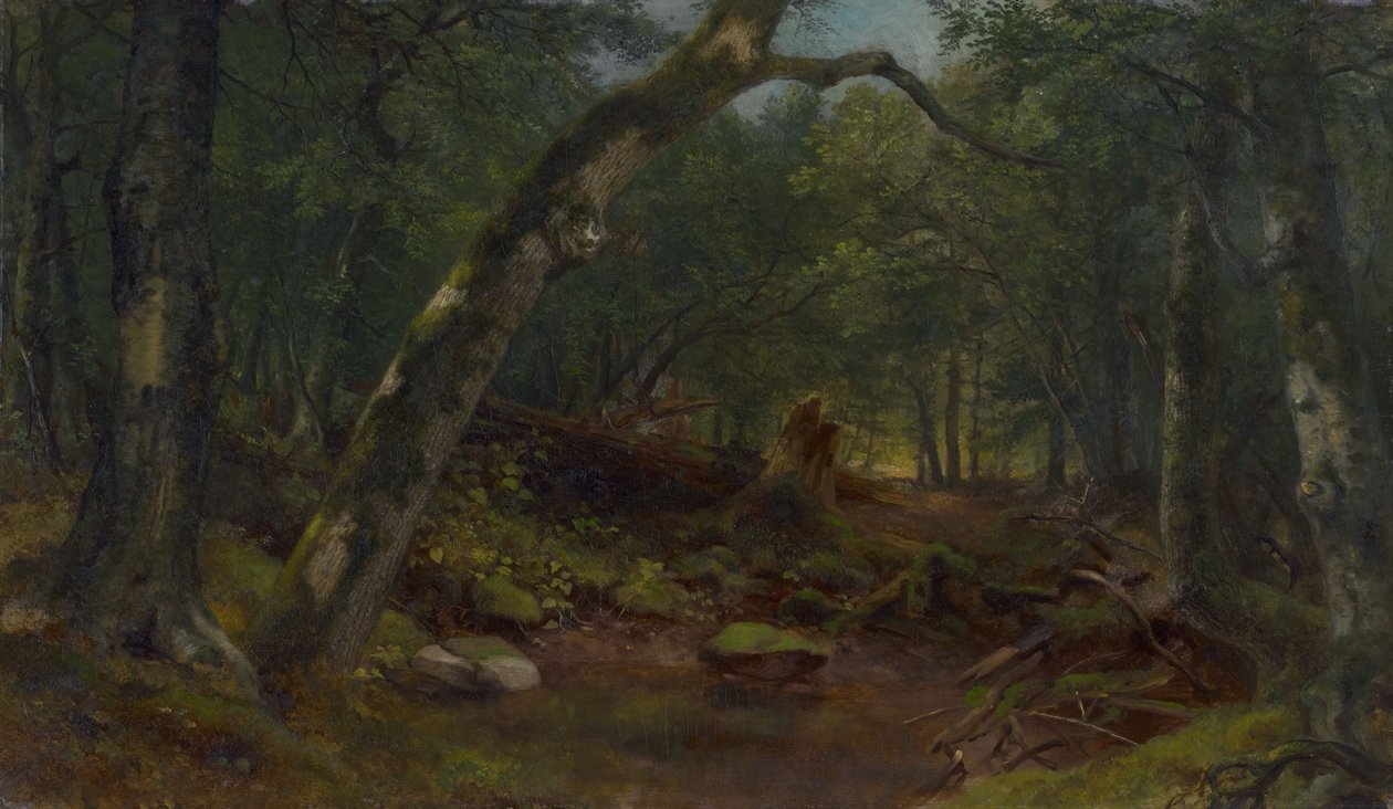 A Rua dos Artistas depois de um aguaceiro de Asher Brown Durand