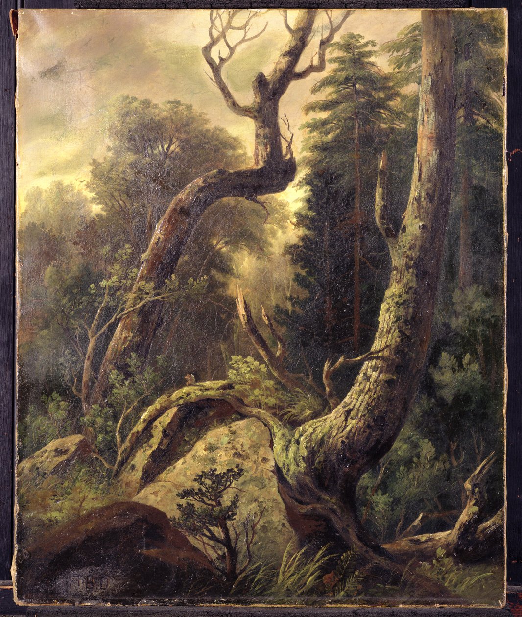 Paisagem florestal de Asher Brown Durand