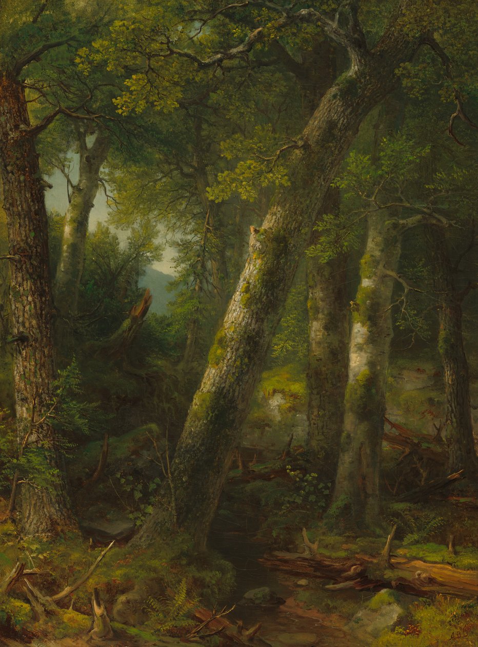 Floresta na luz da manhã de Asher Brown Durand