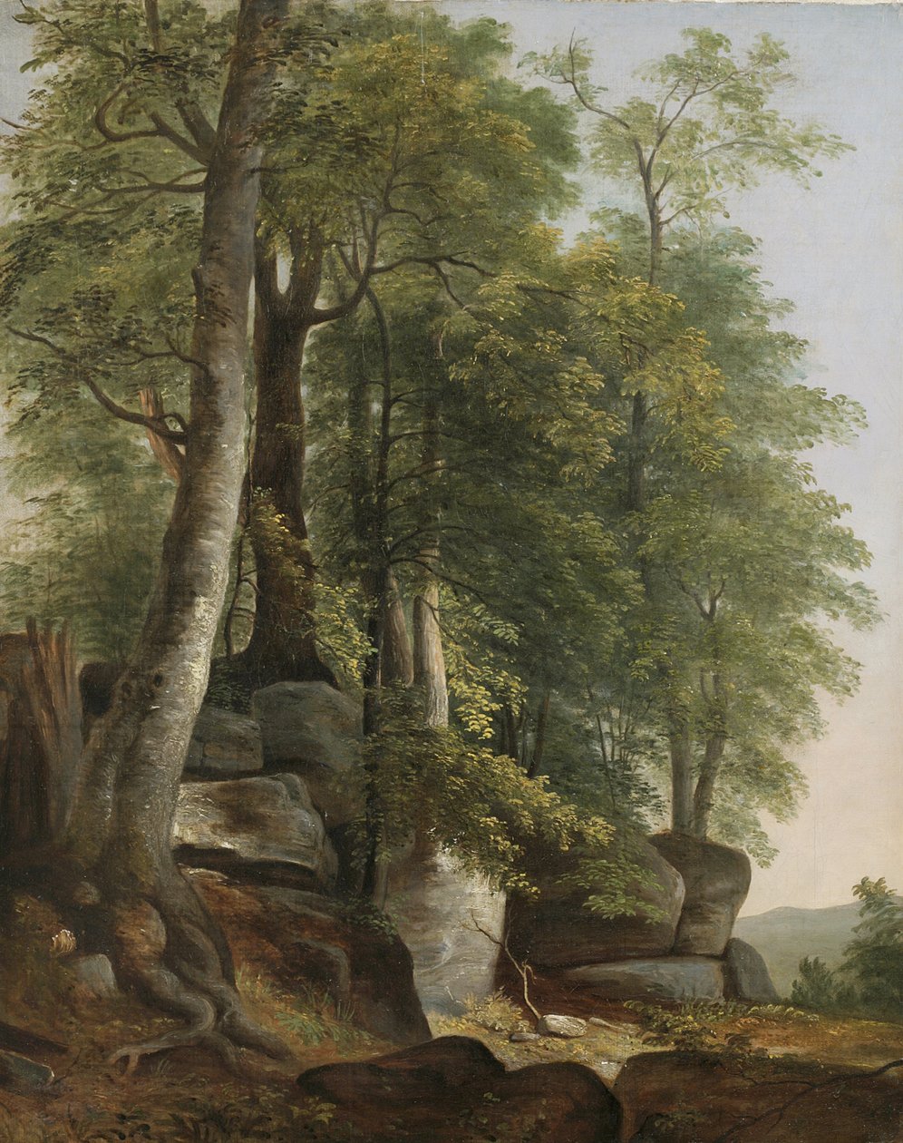Paisagem com pedras e árvores, c.1845 de Asher Brown Durand