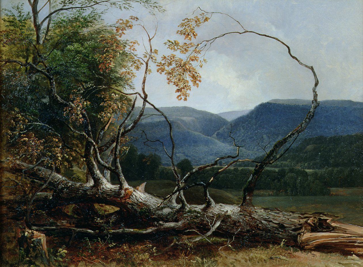 Stratton Notch, Vermont de Asher Brown Durand