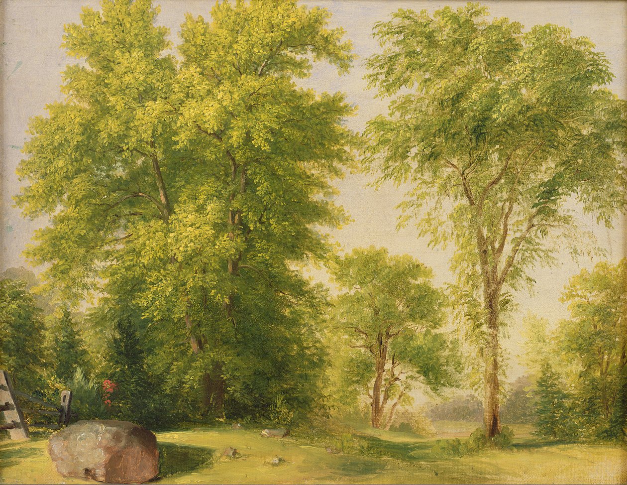 Estudo da Nature, Hoboken, Nova Jersey, c.1834 de Asher Brown Durand