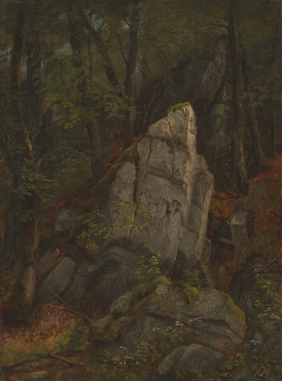 Estudo das rochas na ravina de Pearson de Asher Brown Durand