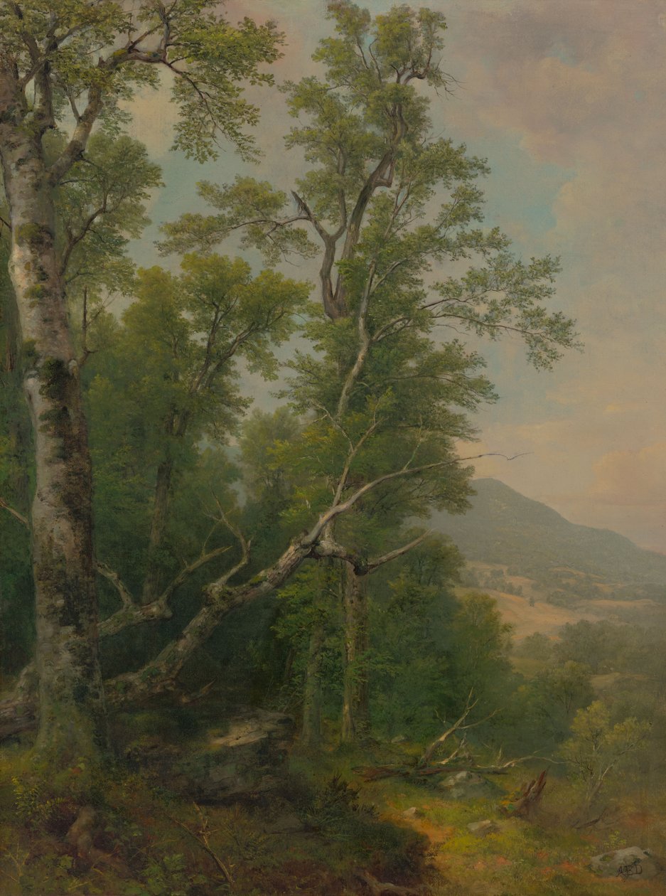 Estudo das árvores de Asher Brown Durand