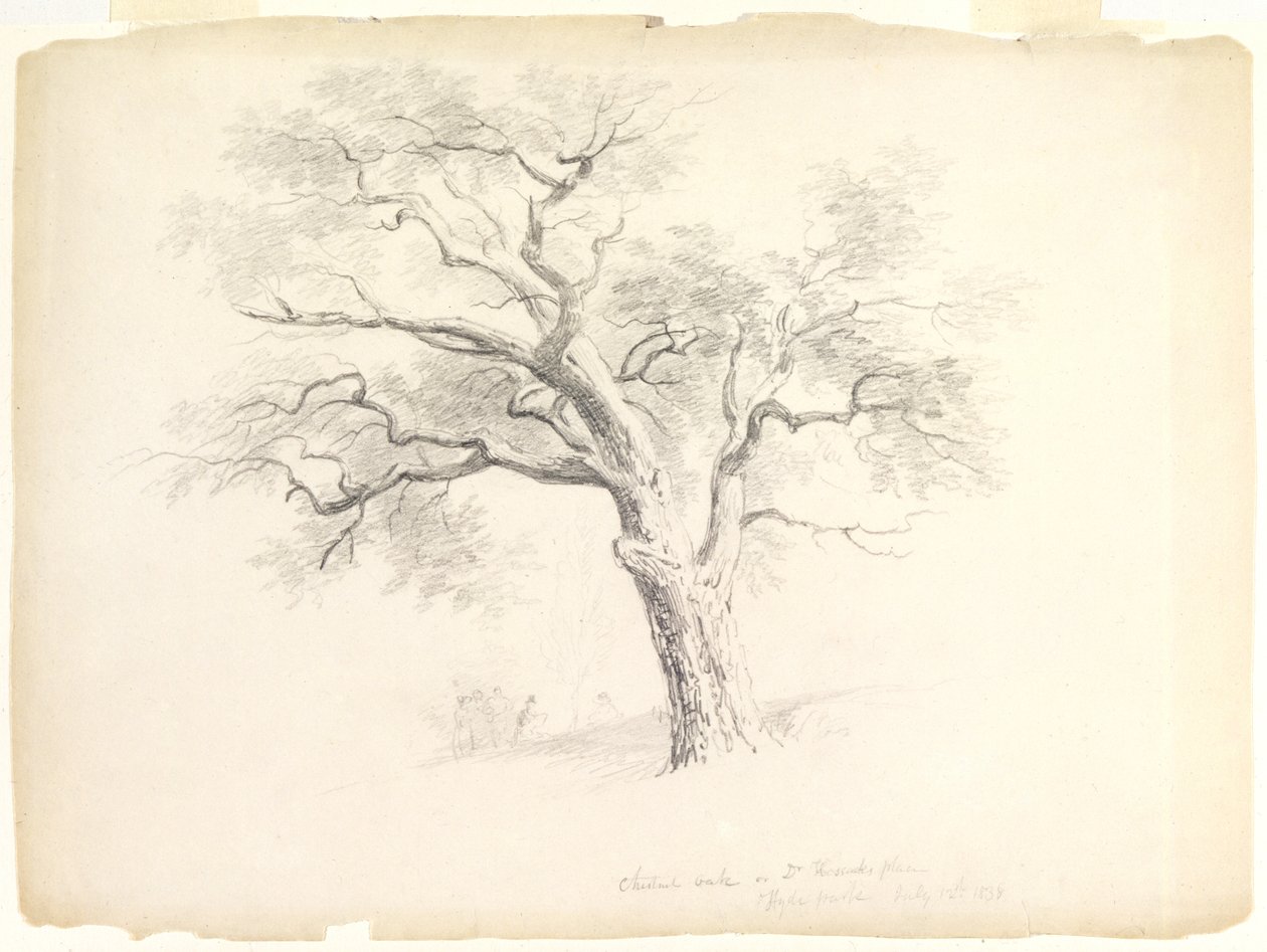 O Carvalho de Castanha no Hosack Estate, Hyde Park, Nova Iorque com Cinco Figuras e um Artist Sketching, 1838 (grafite sobre papel) de Asher Brown Durand