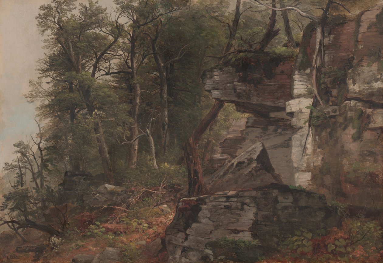 Árvores em uma encosta rochosa, c.1849 de Asher Brown Durand