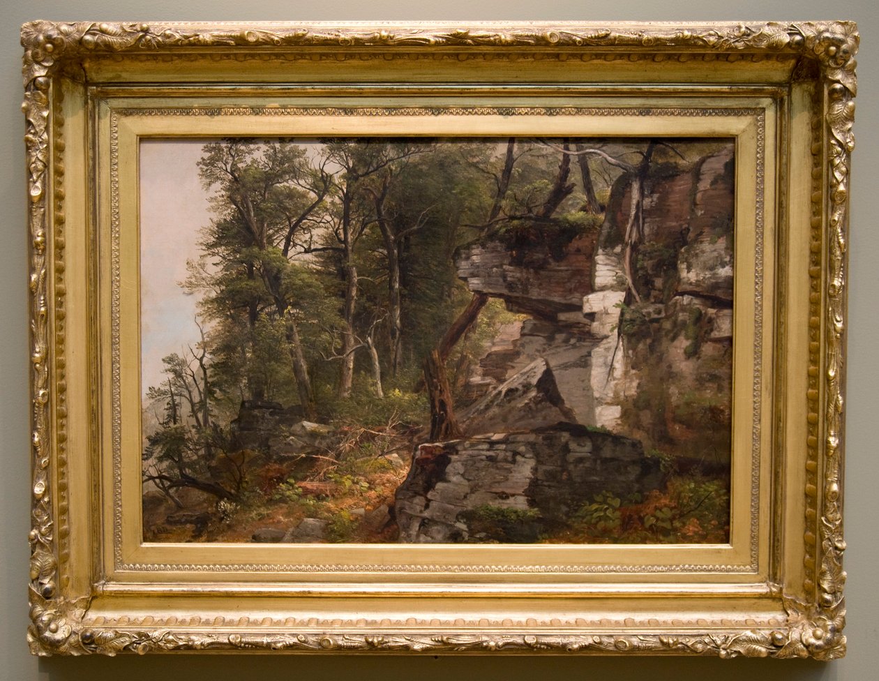 Árvores em uma encosta rochosa, c. 1849 de Asher Brown Durand