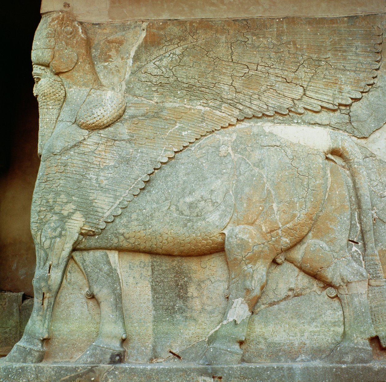 Baixo-relevo de um touro antropomórfico de Assyrian