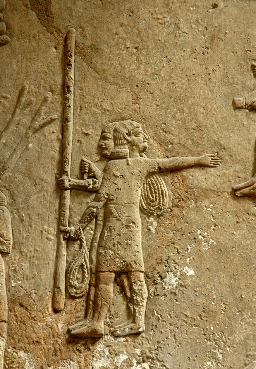 Relevo, descrevendo, um, local construção, Ashurbanipals, palácio, nineveh, c.645, bc de Assyrian