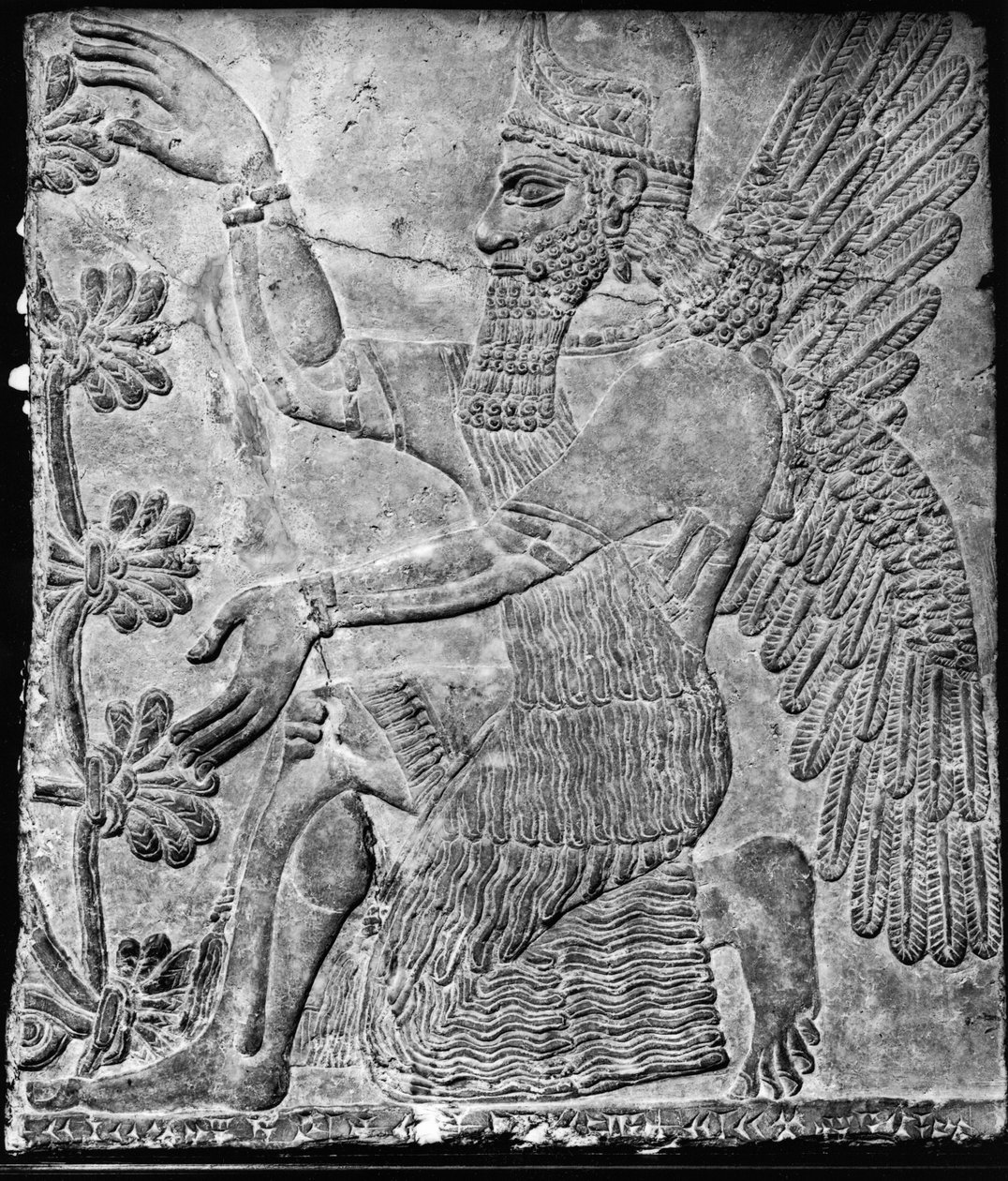 Gênio alado adorando a árvore sagrada, do palácio em Nimrud de Assyrian