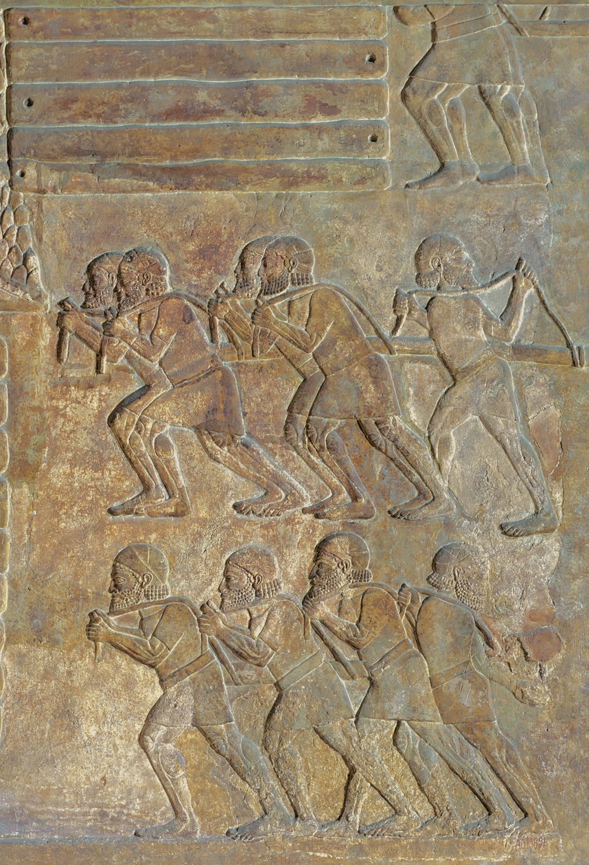 Detalhe de um relevo que representa o armazenamento de madeira na praia antes do transporte por mar, do Palácio de Sargon II, Khorsabad, Iraque de Assyrian